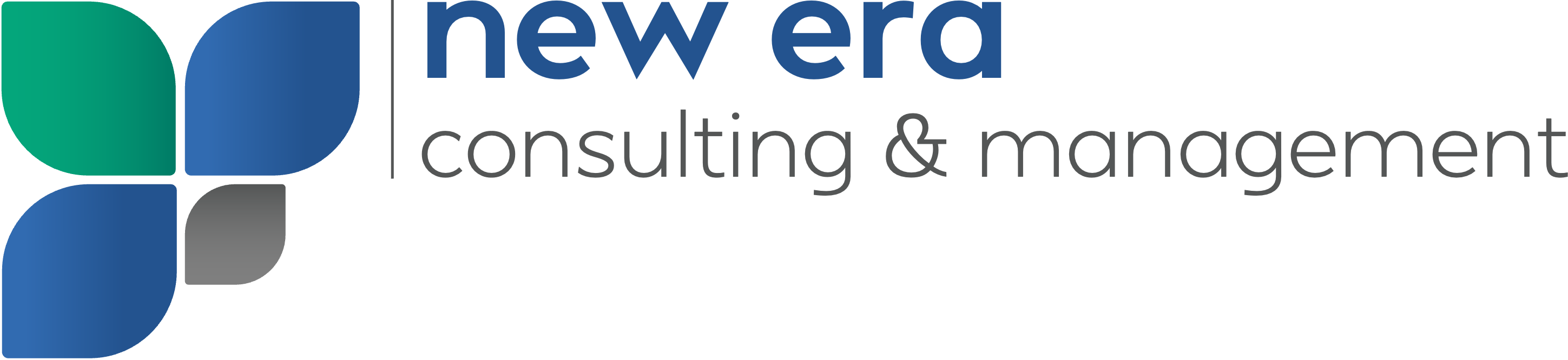 New Era Consulting & Management